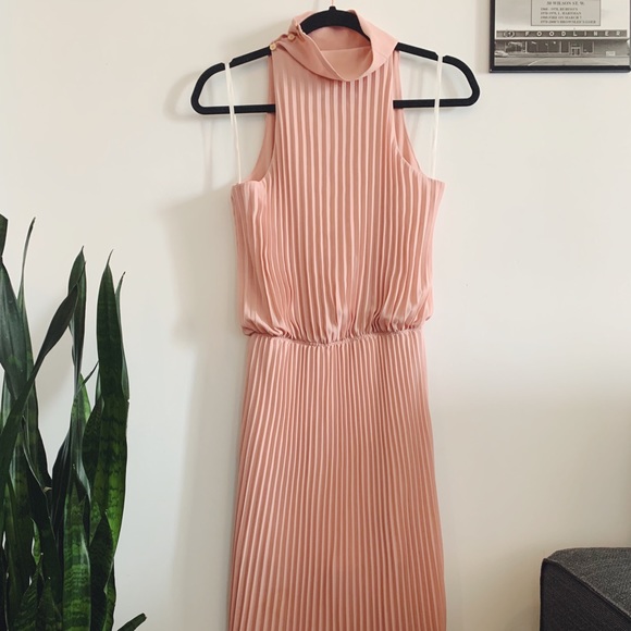 Babaton Dresses & Skirts - Babaton Sleeveless Pleated Dress
